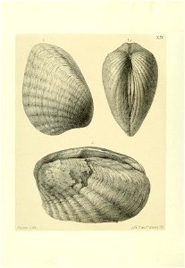 n187_w1150