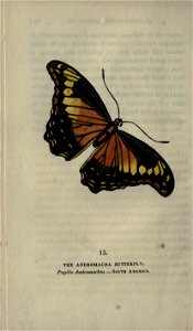 n193_w1150