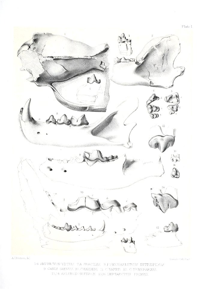 n478_w1150