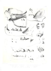 n478_w1150