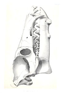 n508_w1150