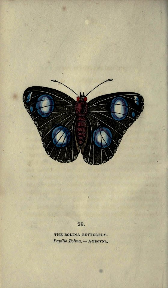 n243_w1150