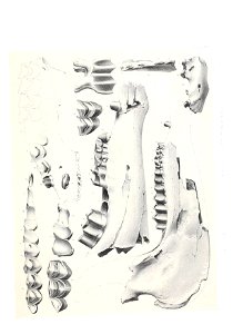 n506_w1150