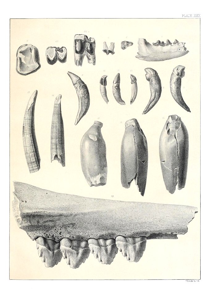 n536_w1150