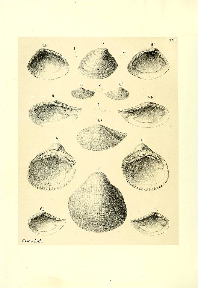 n195_w1150