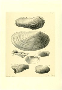 n133_w1150