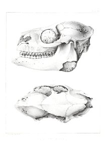 n516_w1150