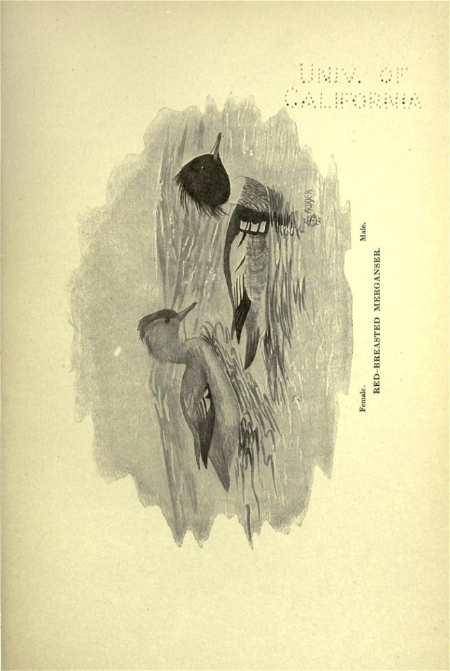 n220_w1150