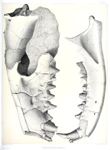 n482_w1150