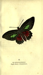 n186_w1150