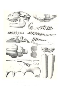n504_w1150