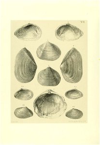 n137_w1150
