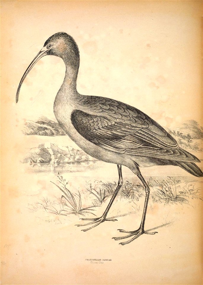 n375_w1150