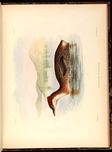 n388_w1150