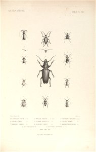n168_w1150