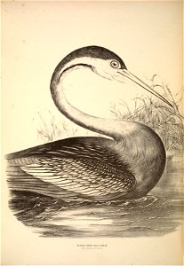 n431_w1150