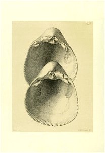 n165_w1150