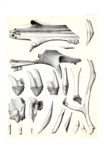 n532_w1150