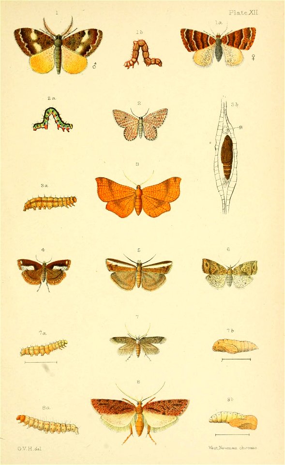 n192_w1150