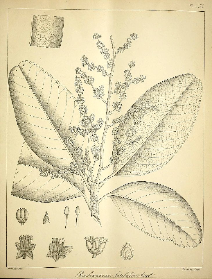 n696_w1150