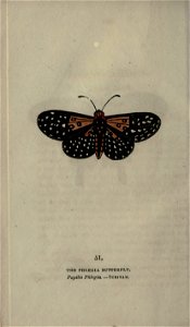 n325_w1150