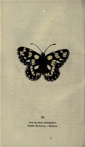 n263_w1150