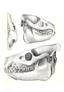 n488_w1150