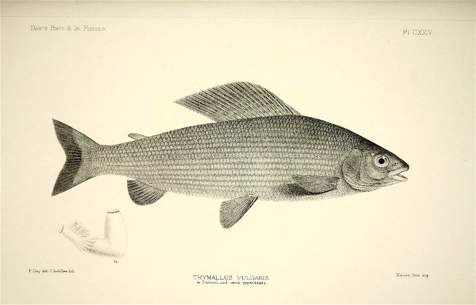 n254_w1150