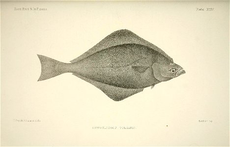 n194_w1150