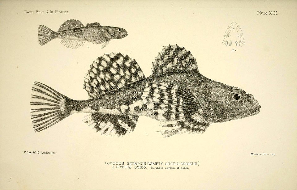 n44_w1150
