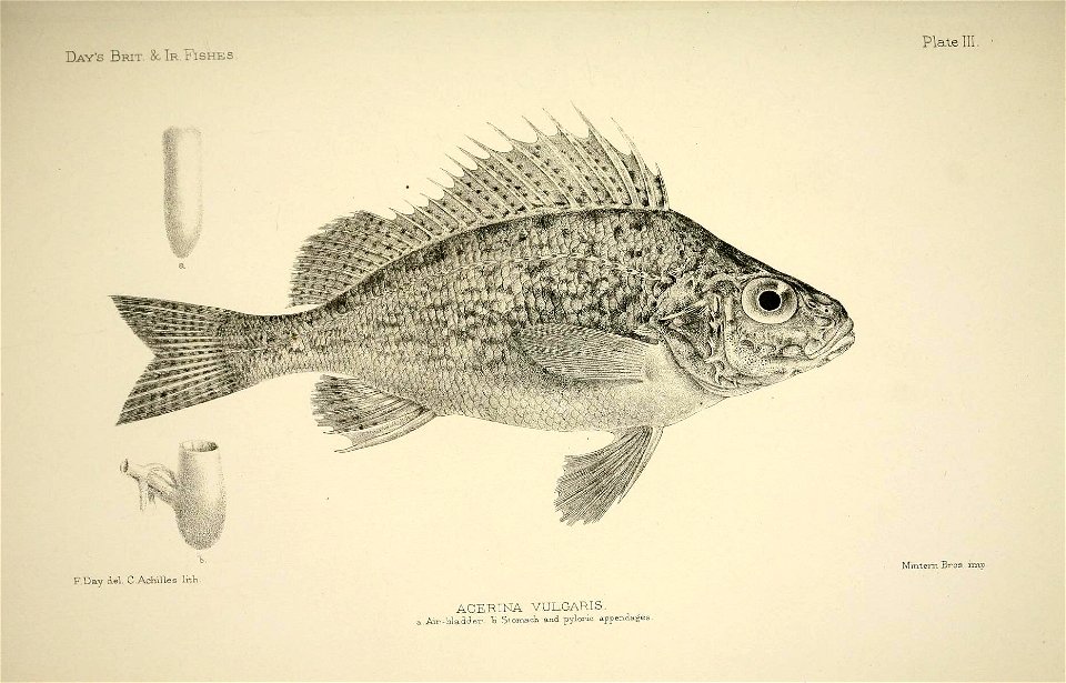 n12_w1150