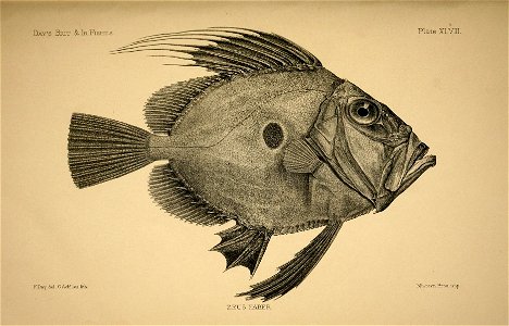 n102_w1150