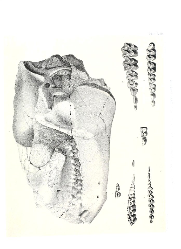 n502_w1150