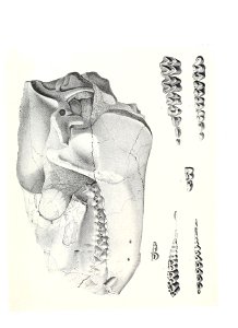 n502_w1150