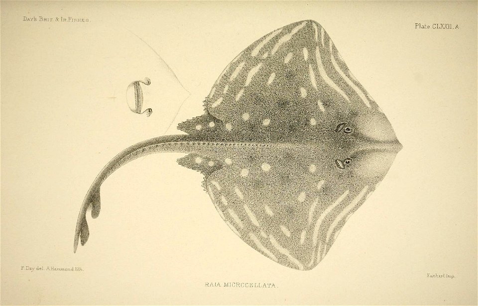n352_w1150