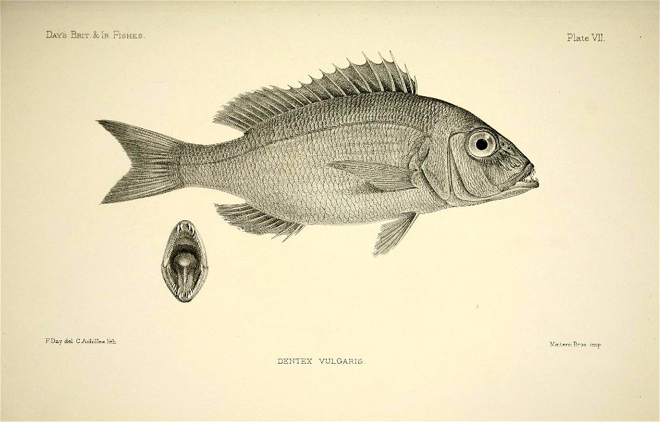 n20_w1150