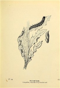 n138_w1150