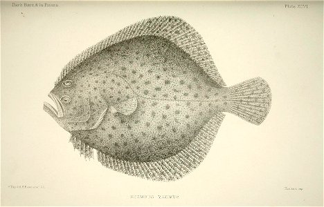 n198_w1150