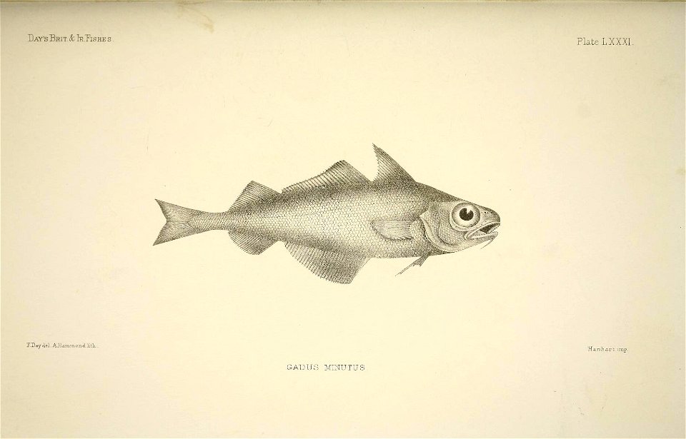 n168_w1150
