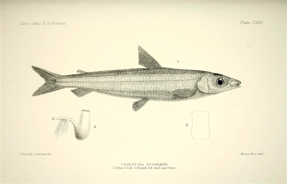 n256_w1150