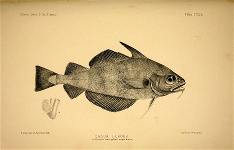 n166_w1150
