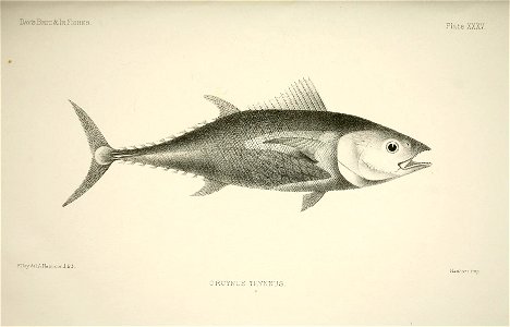 n76_w1150