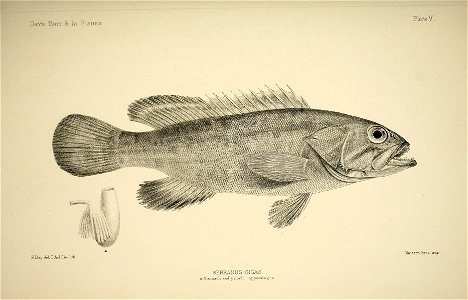 n16_w1150