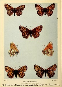 n195_w1150