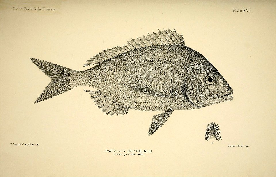 n40_w1150