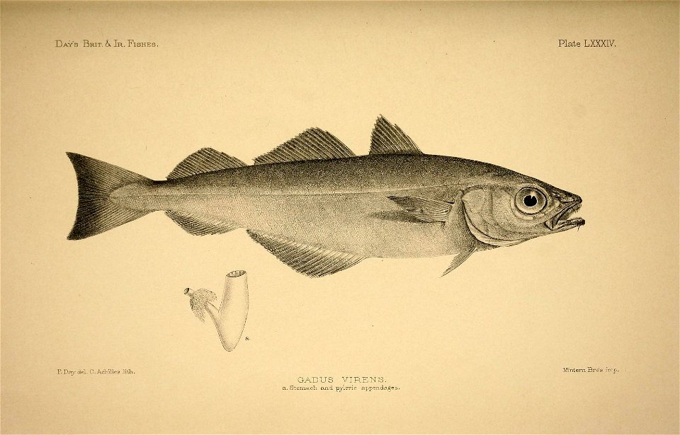 n174_w1150