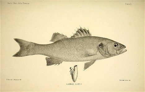 n10_w1150