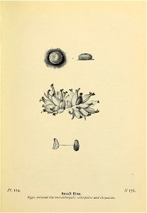 n306_w1150