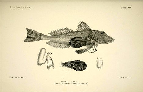 n54_w1150