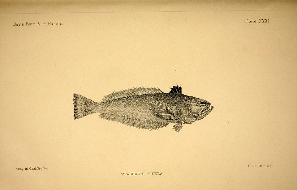 n68_w1150